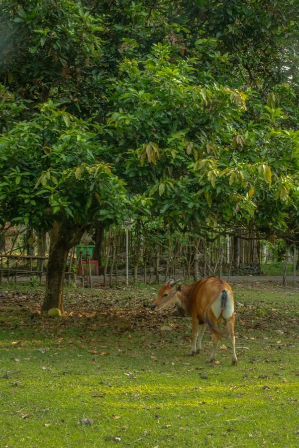 Lendang Eco Lodge เซงกีกี ภายนอก รูปภาพ