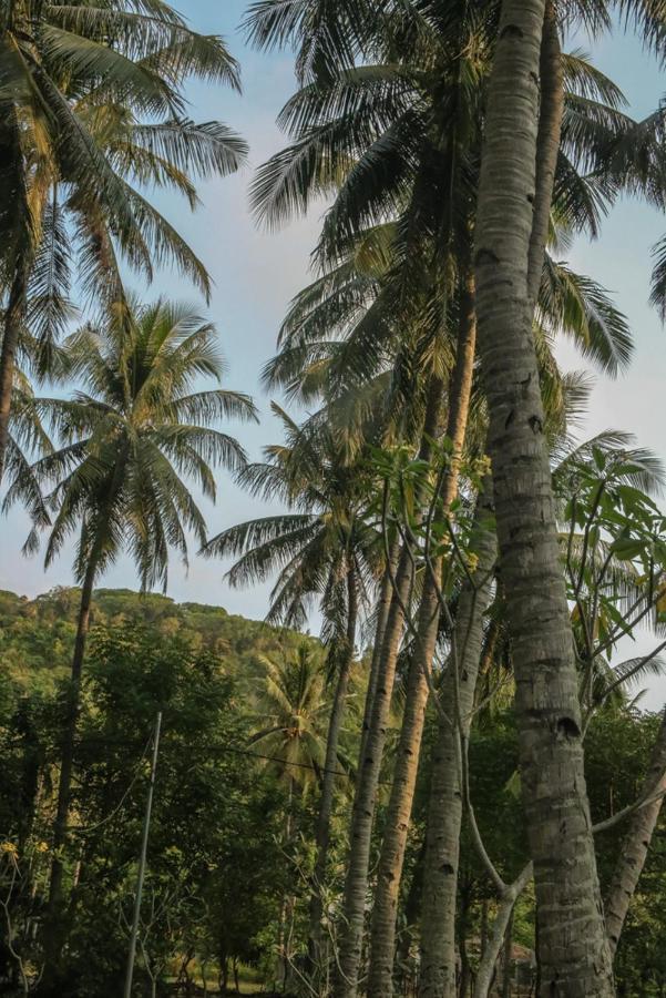 Lendang Eco Lodge เซงกีกี ภายนอก รูปภาพ