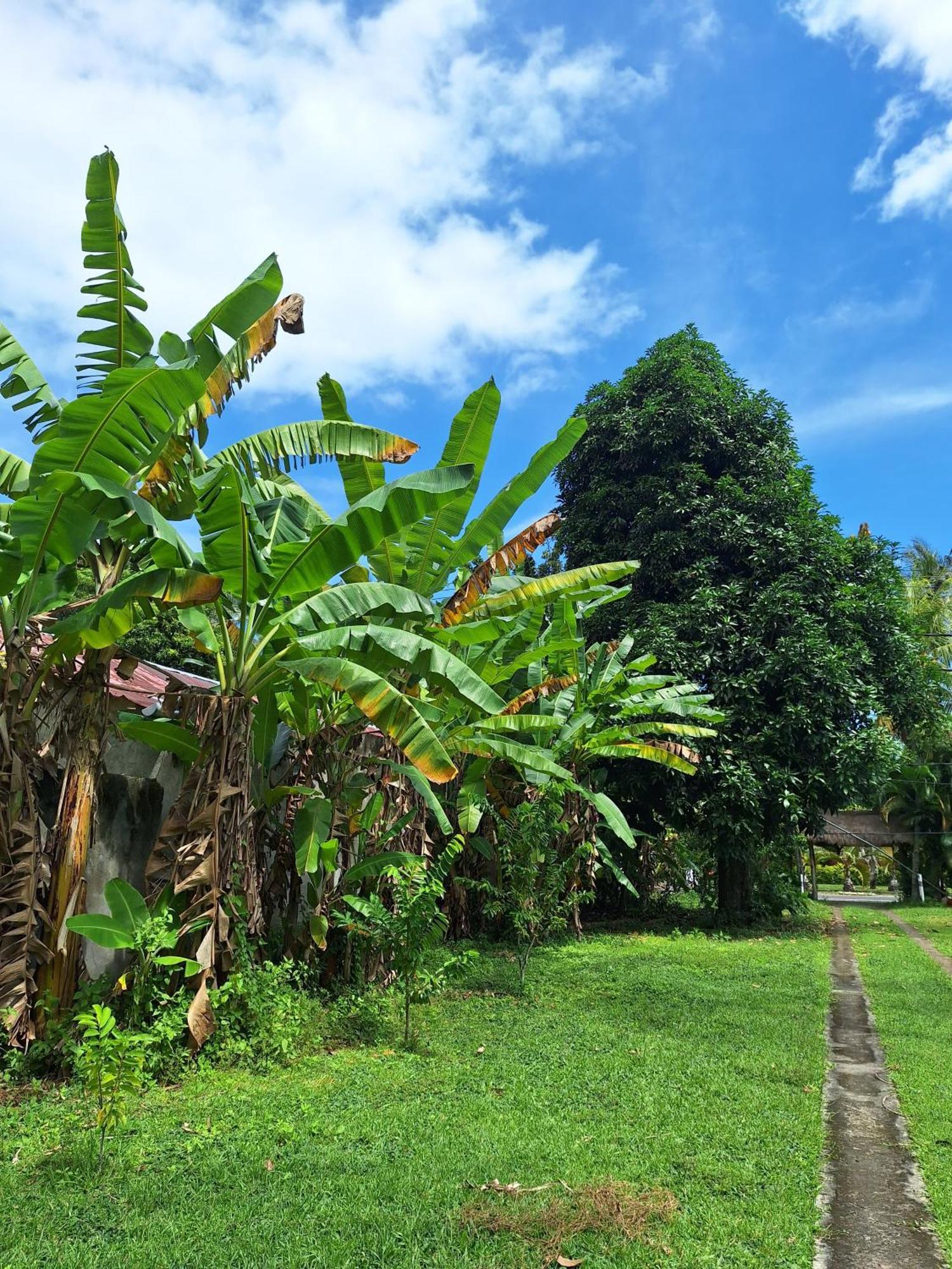 Lendang Eco Lodge เซงกีกี ภายนอก รูปภาพ